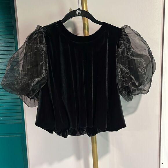 ANTHROPOLOGIE NWT Maeve Puff-Sleeve Velvet Blouse- S - Picture 5 of 10